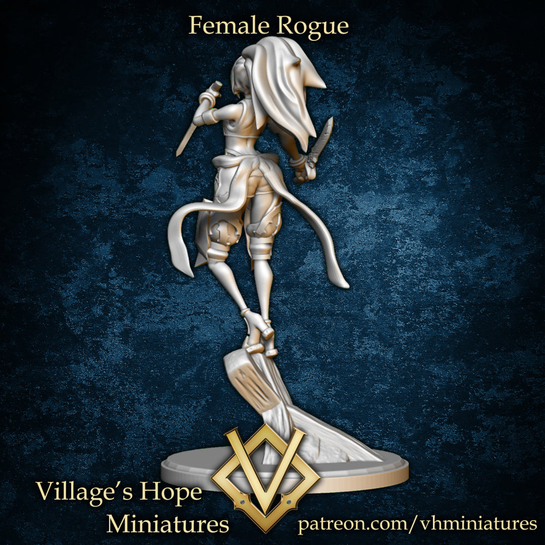 Female Rogue by Village's Hope Miniatures