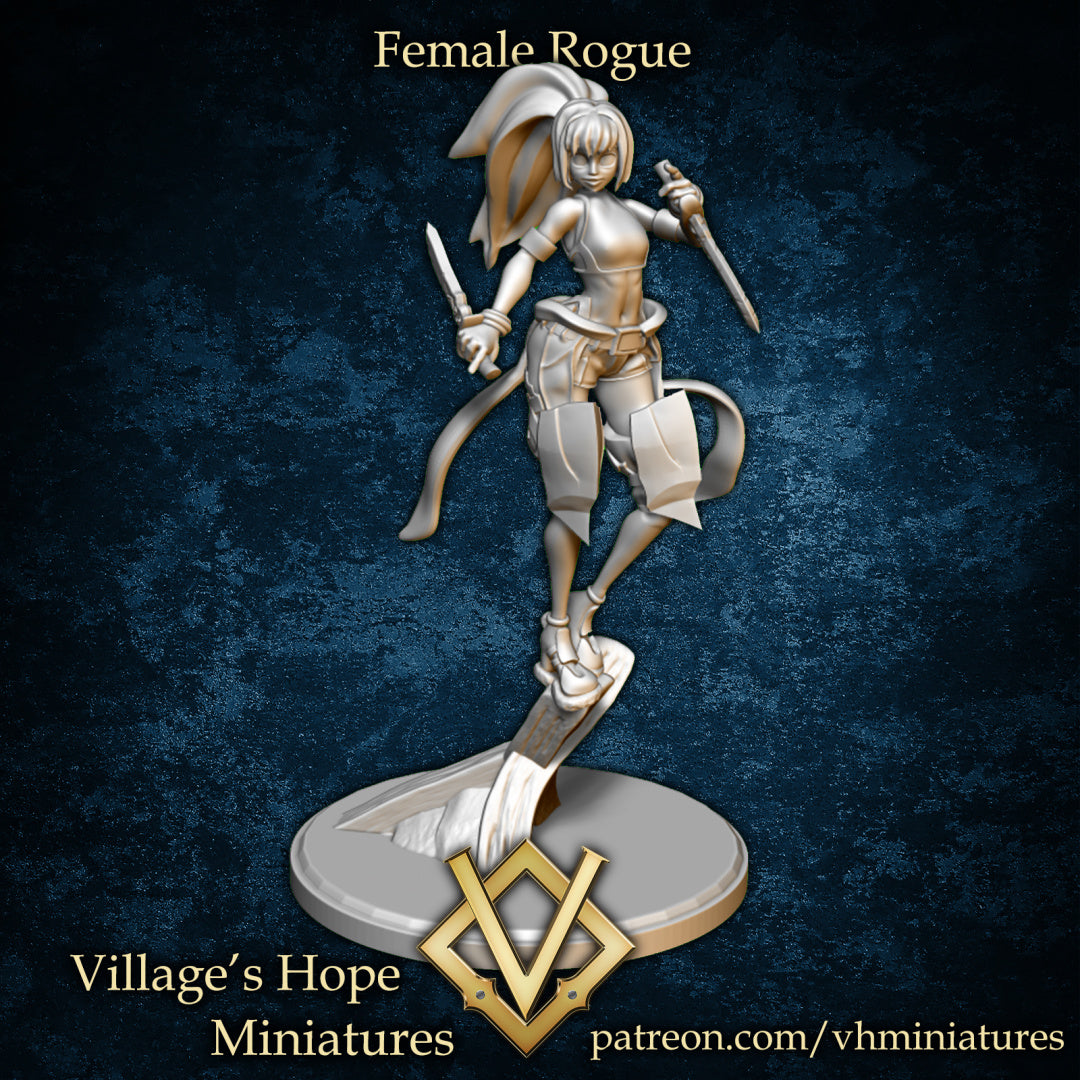 Female Rogue by Village's Hope Miniatures