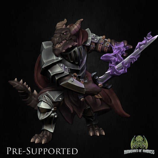 Gargax Darkoat, The Paladin by Miniatures of Madness