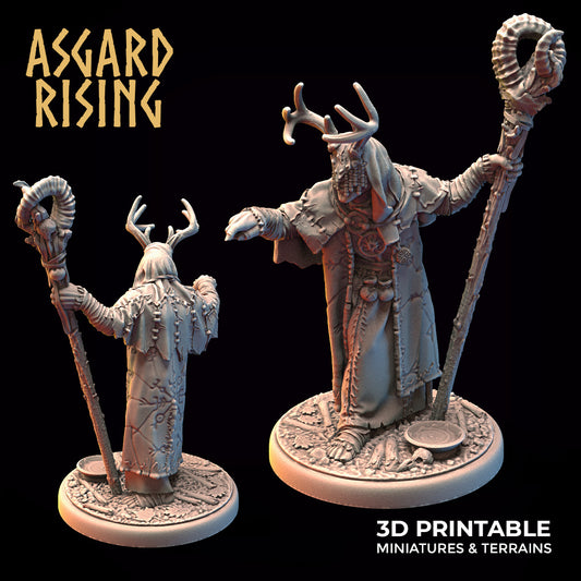 Asgard Rising Viking Hofgothi the Seer