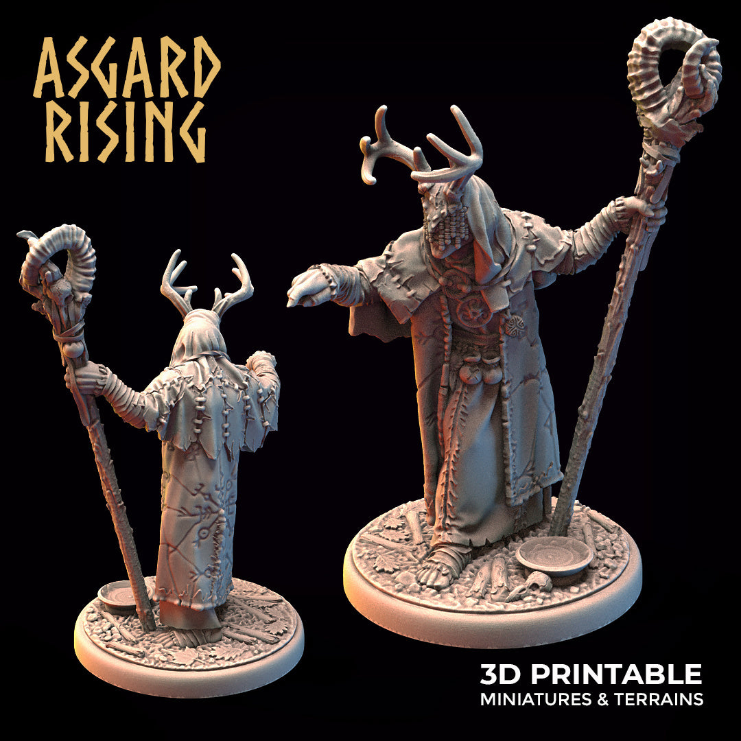Asgard Rising Viking Hofgothi the Seer