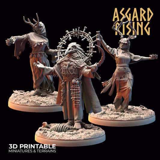 Asgard Rising Viking Hofgothi and Priestesses