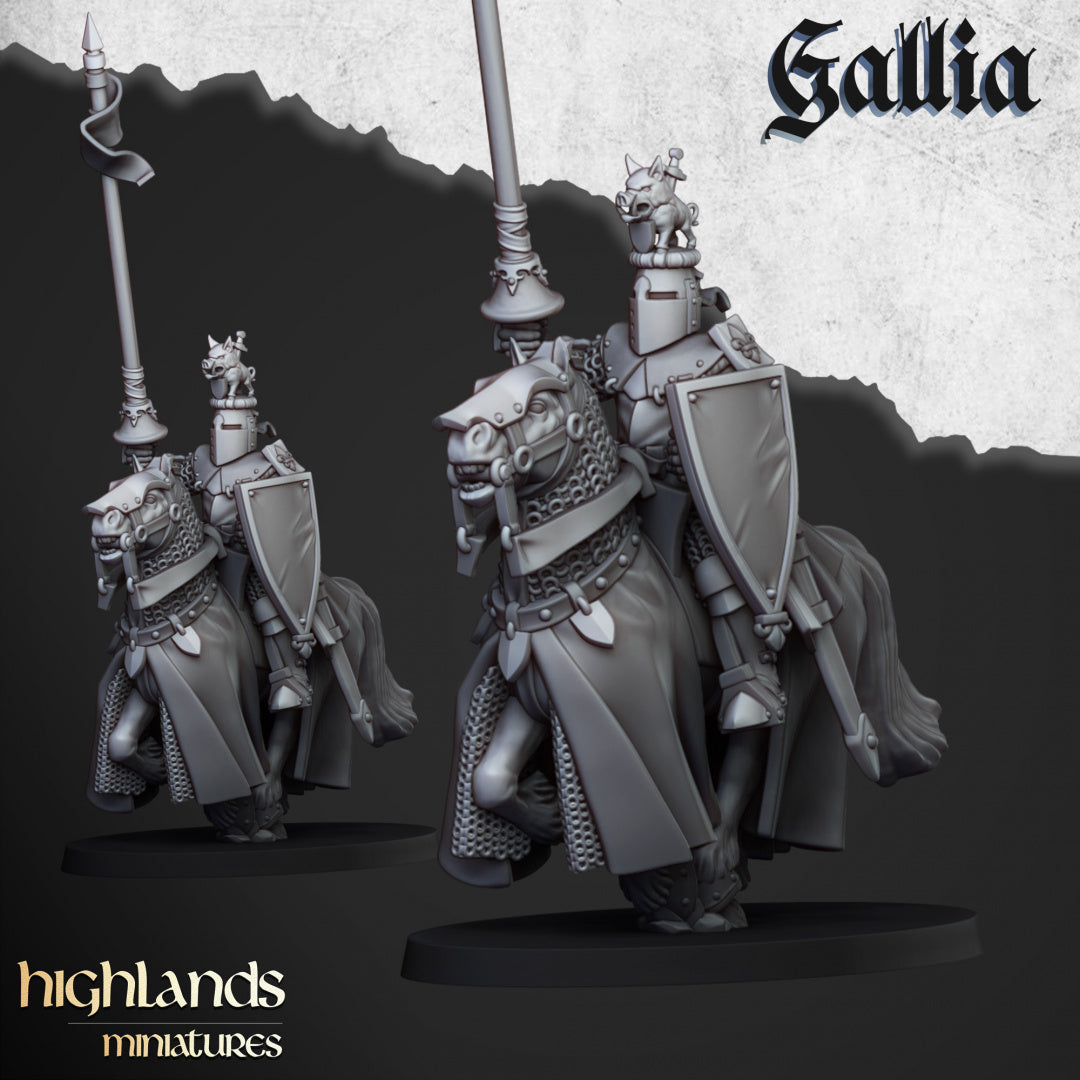 Knights of Gallia by Highlands Miniatures