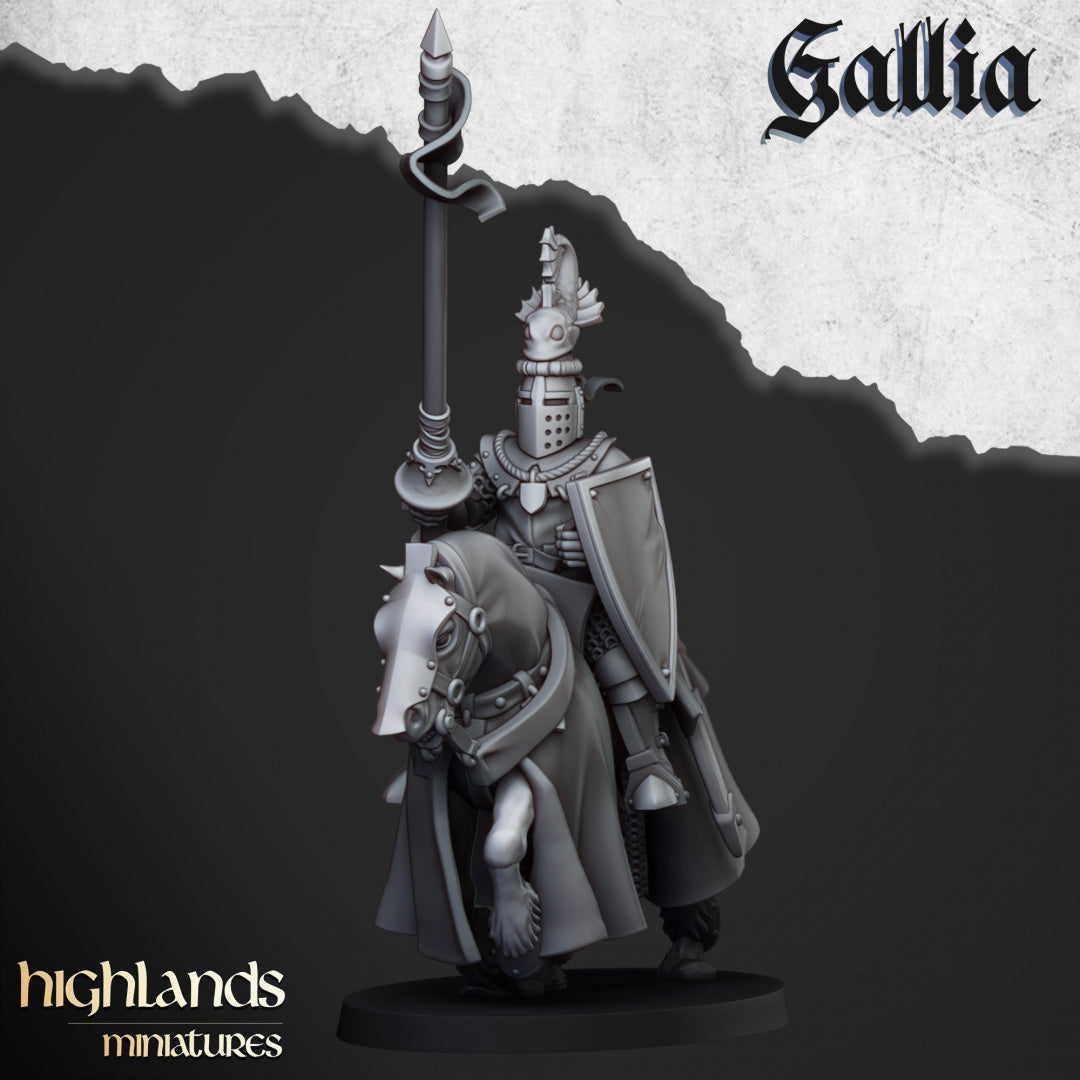 Knights of Gallia by Highlands Miniatures