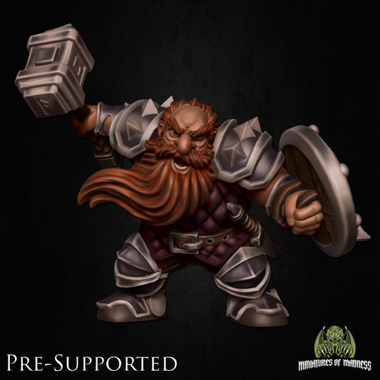 Tumnus Coldhug, Dwarf Fighter by Miniatures of Madness