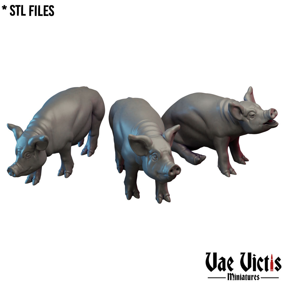Pigs by Vae Victis Miniatures