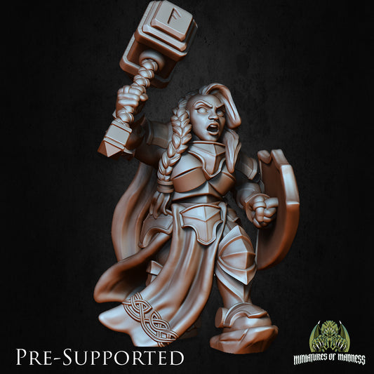 Bryna The Indomitable by Miniatures of Madness
