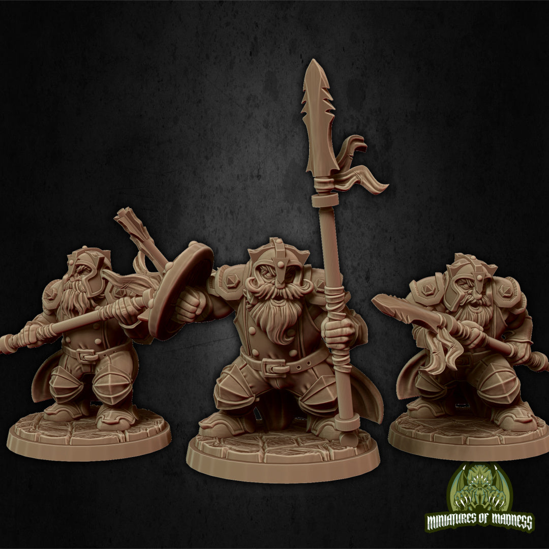 Dwarf Soldier Set 2 by Miniatures of Madness
