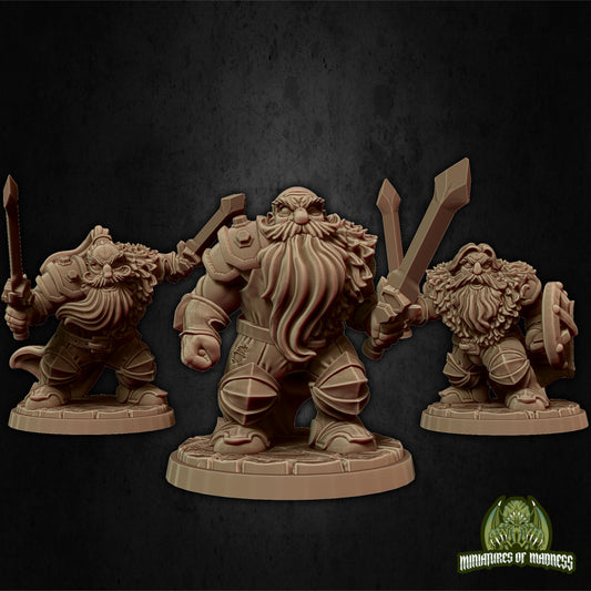 Dwarf Soldier Set 5 by Miniatures of Madness