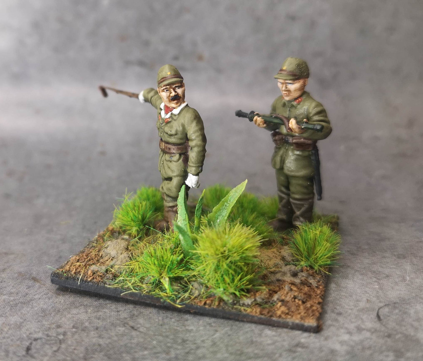 IJA Senior Officer
