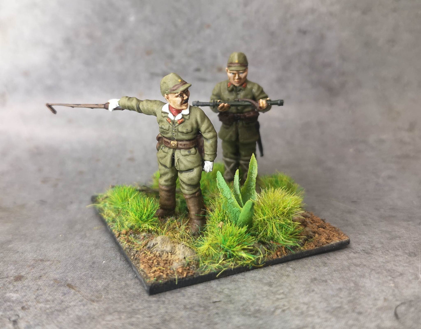 IJA Senior Officer