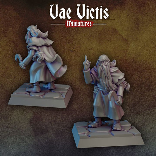 Old druid by Vae Victis Miniatures