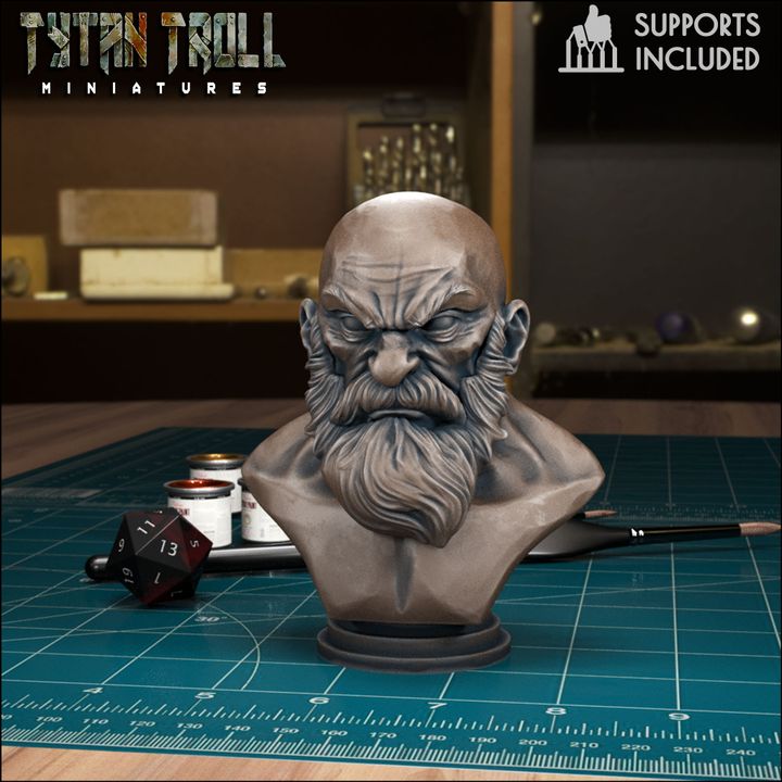 Bearded Man Bust by Tytan Troll Miniatures