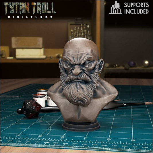 Bearded Man Bust by Tytan Troll Miniatures