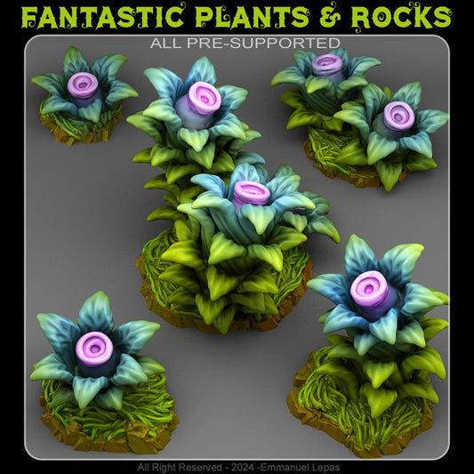 Dangerous Night Plants by Fantastic Plants & Rocks