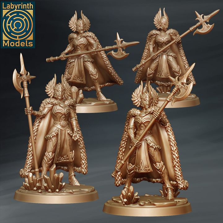 Valkyrie Guard by Labyrinth Models