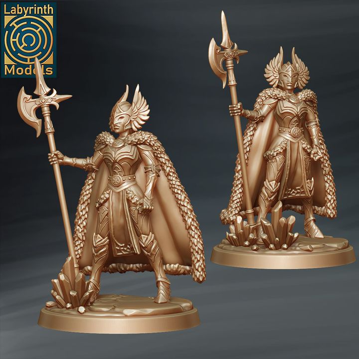 Valkyrie Guard by Labyrinth Models