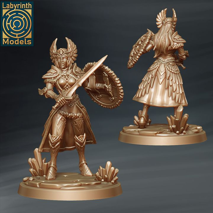 Valkyrie  Warriors by Labyrinth Models