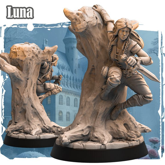 Luna - Elf Rogue by Haito