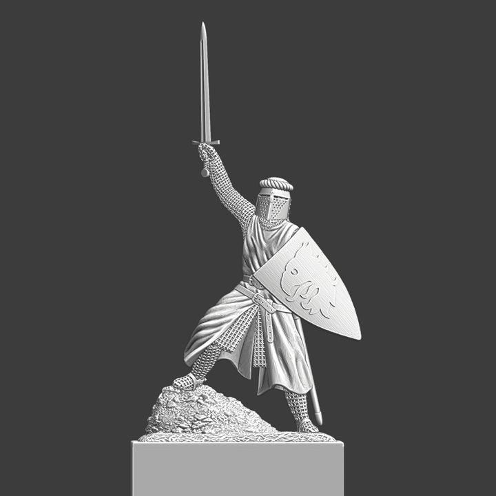 Medieval Knight Hero.