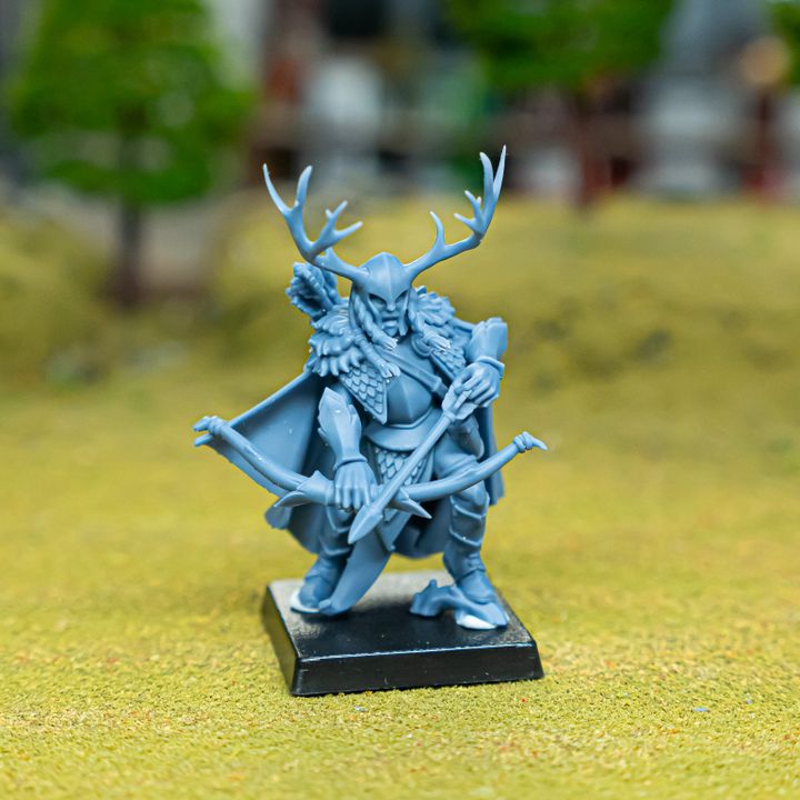 Feral Elf Highborn by Highlands Miniatures