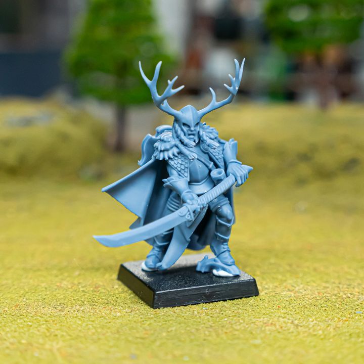 Feral Elf Highborn by Highlands Miniatures