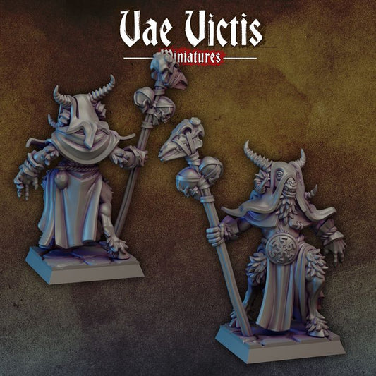 Shaman by Vae Victis Miniatures
