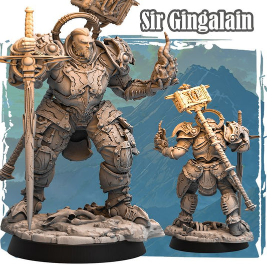 Sir Gingalain 32mm - Human Cleric by Haito
