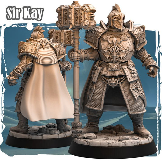 Sir Kay 32mm - Human Paladin by Haito