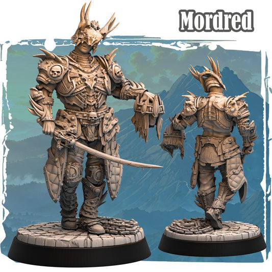 Sir Mordred 32mm - Human Fighter by Haito