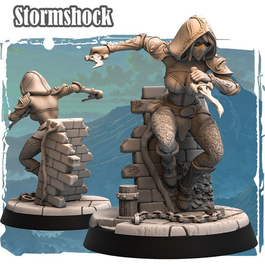 Stormshock 32mm - Elf Rogue by Haito