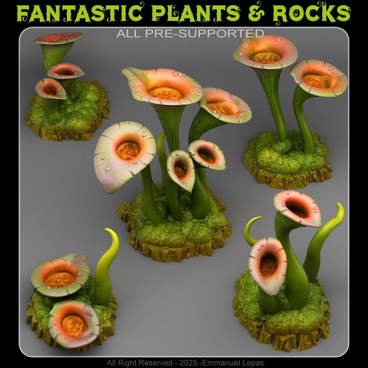 Toxic Swamp Plants by Fantastic Plants & Rocks