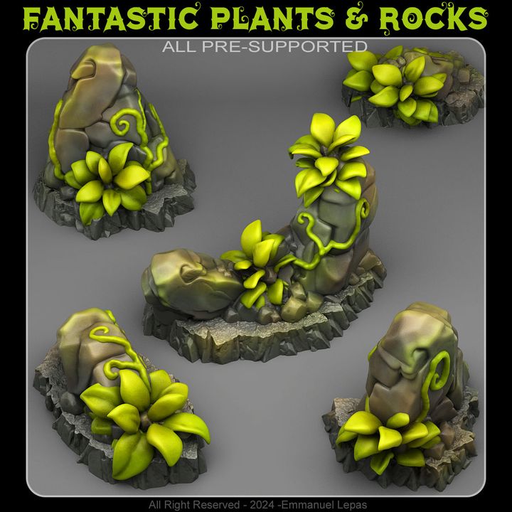 Tropical Rocks by Fantastic Plants & Rocks