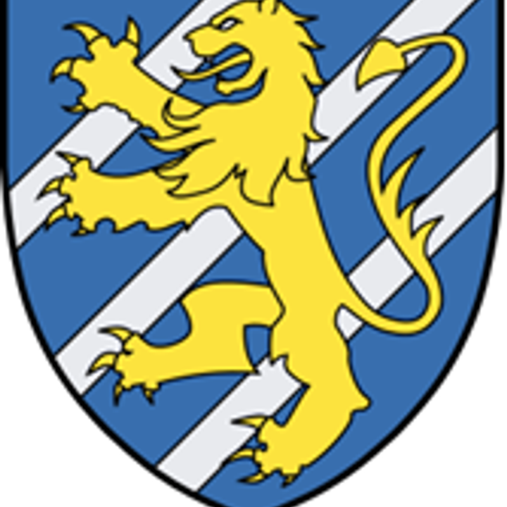 Birger Jarl - Swedish Military Commander.