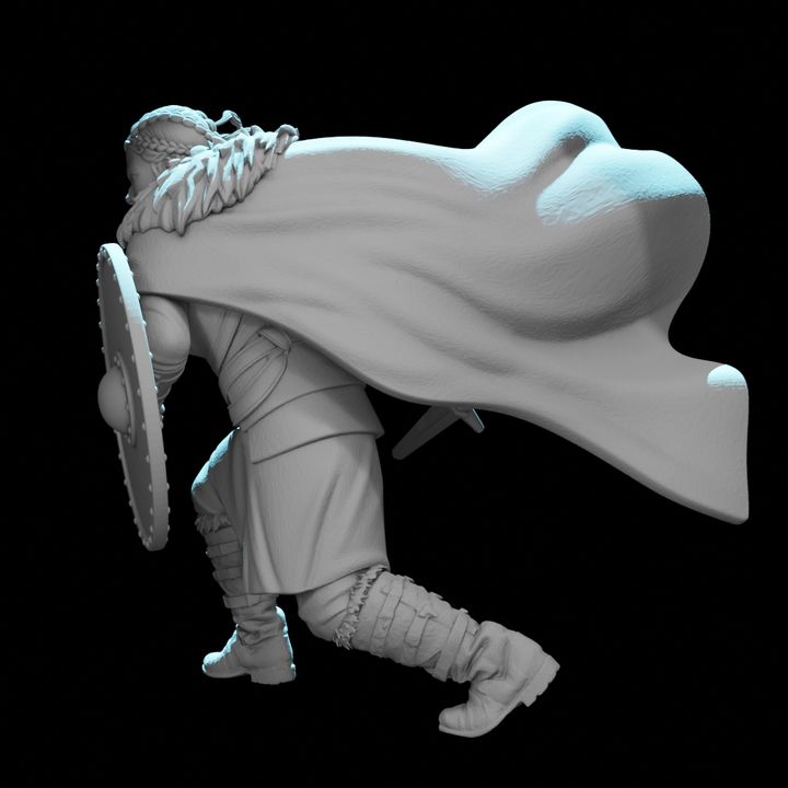 Viking Shield Maiden - fierce Viking warrior