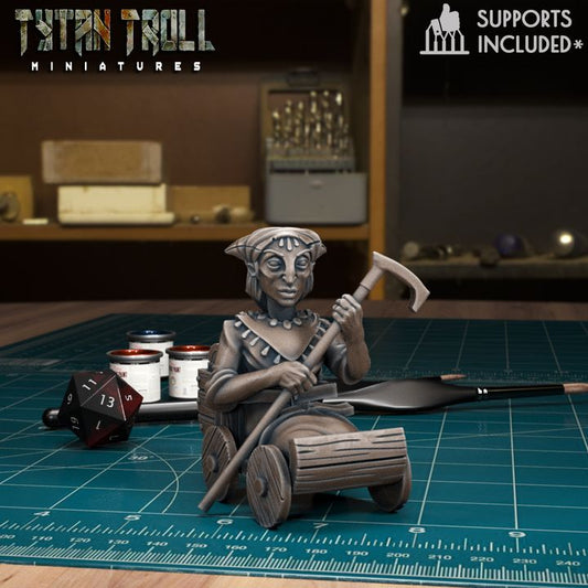 Vistani In Trolley by Tytan Troll Miniatures