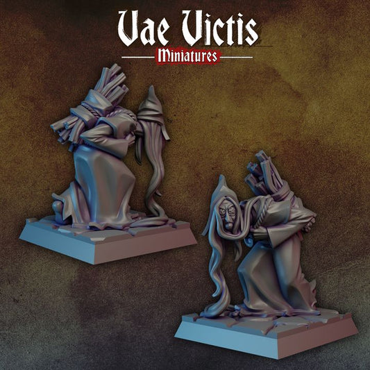 Wood Witch by Vae Victis Miniatures