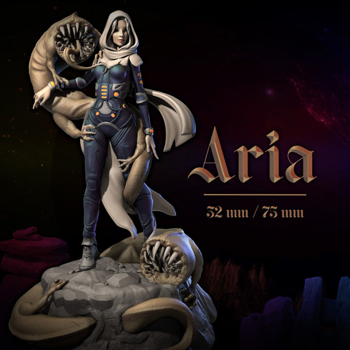 Aria by Dungeons & Maidens