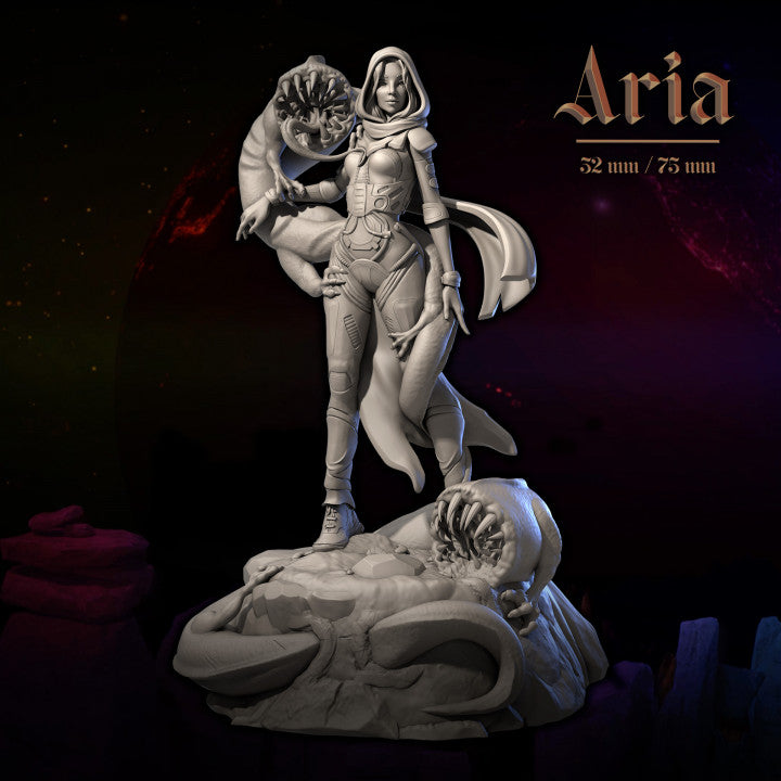 Aria by Dungeons & Maidens