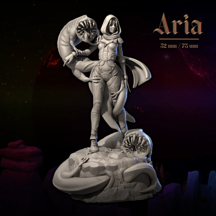 Aria by Dungeons & Maidens