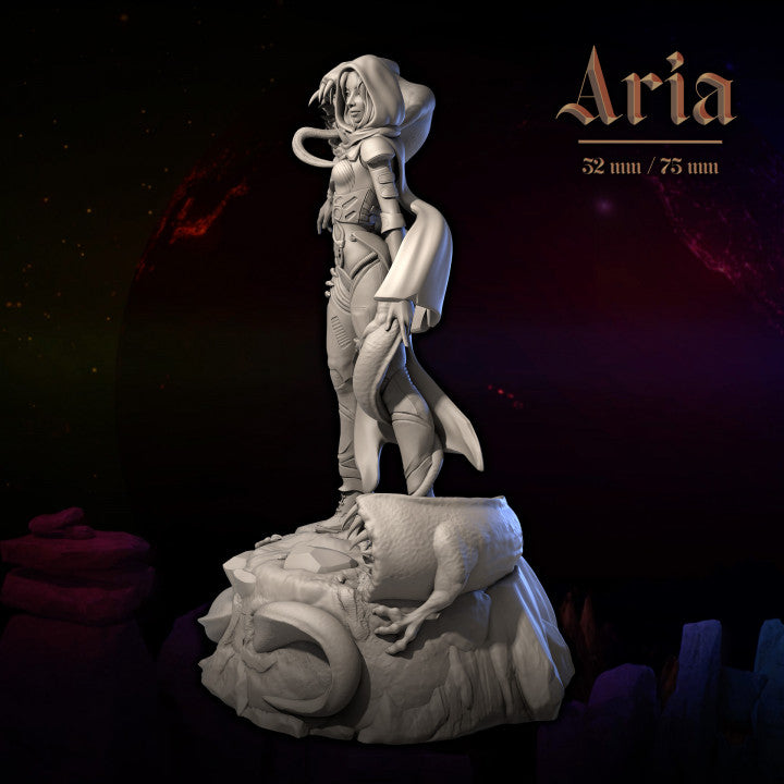 Aria by Dungeons & Maidens