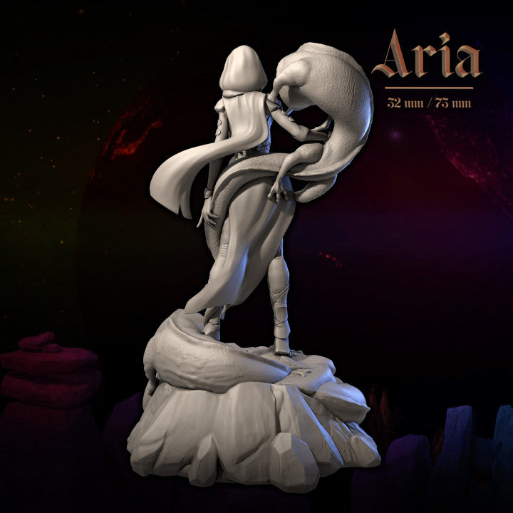 Aria by Dungeons & Maidens