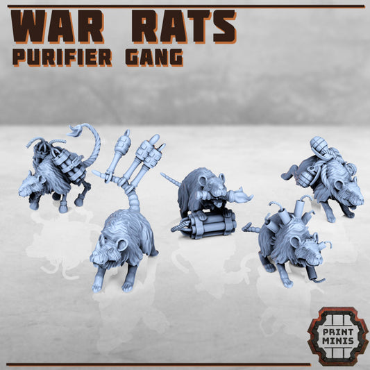 War Rats, Purifier Gang pets.