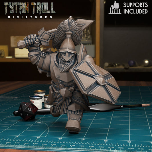 Dwarven Guard 04 by Tytan Troll Miniatures