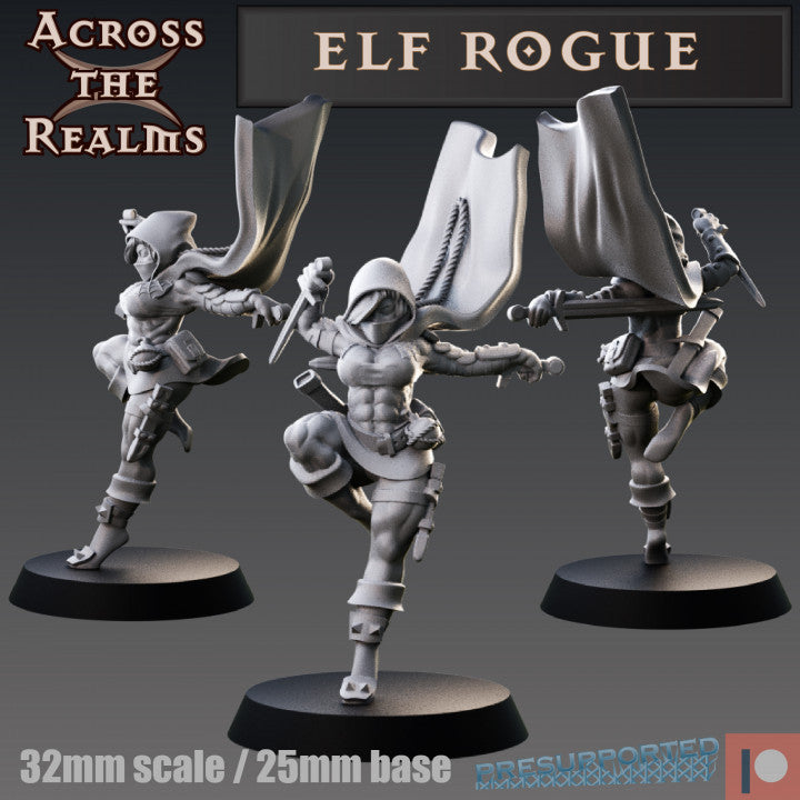 Elf Rogue by Across the Realms