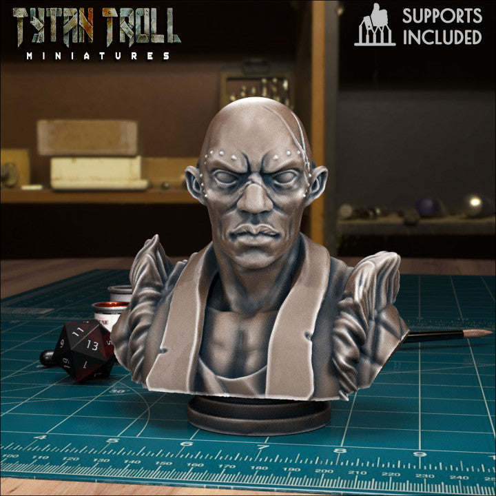 Emil Toranescu Bust by Tytan Troll Miniatures