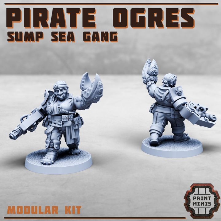 Female Pirate Ogres