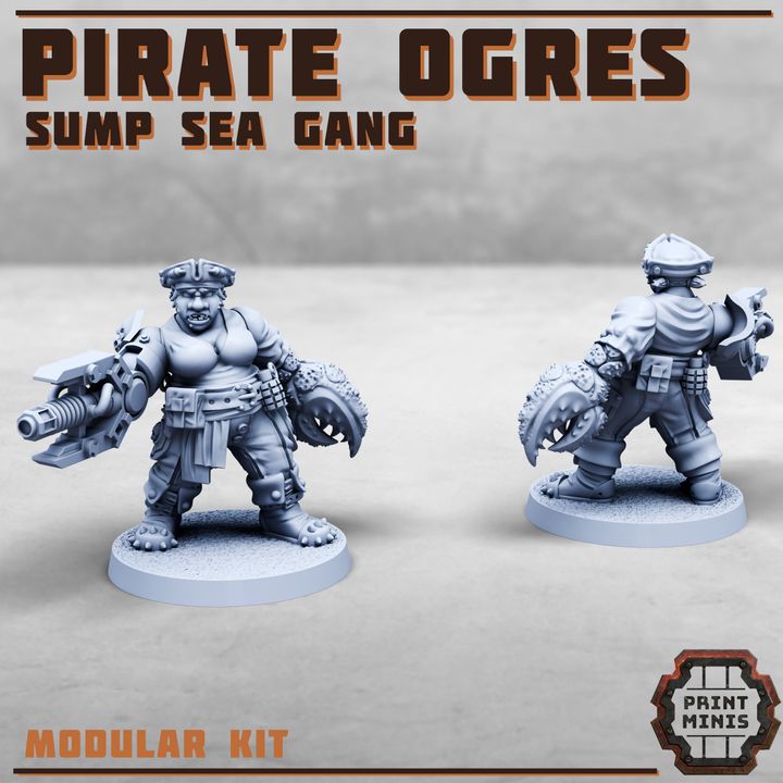 Female Pirate Ogres