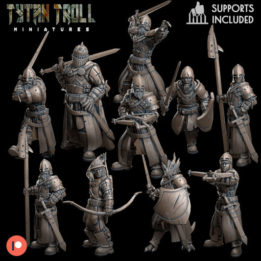 Town Guards Bundle by Tytan Troll Miniatures