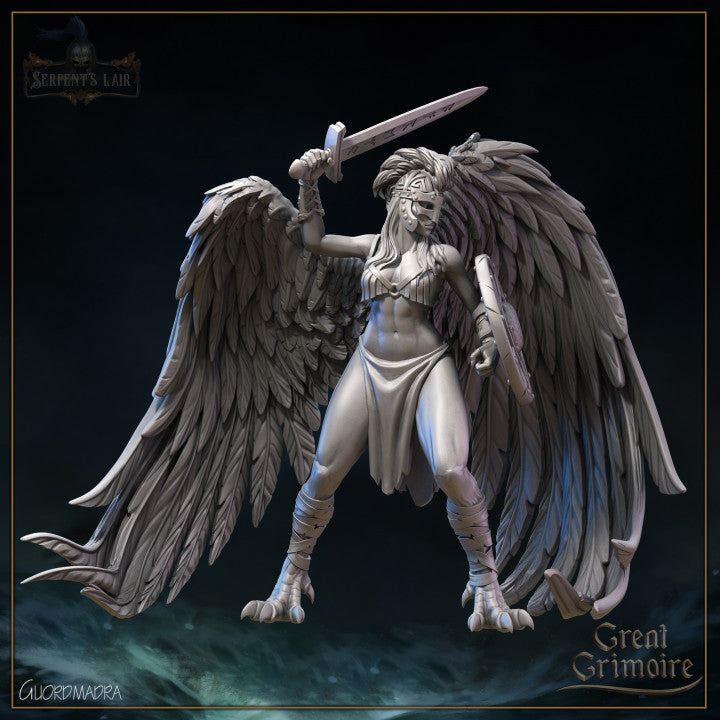 Valkyries, choosers of the slain by Great Grimoire